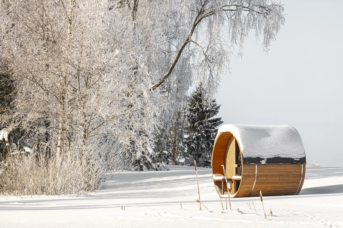 Thermory omandas Läti ettevõtte VMS Timber