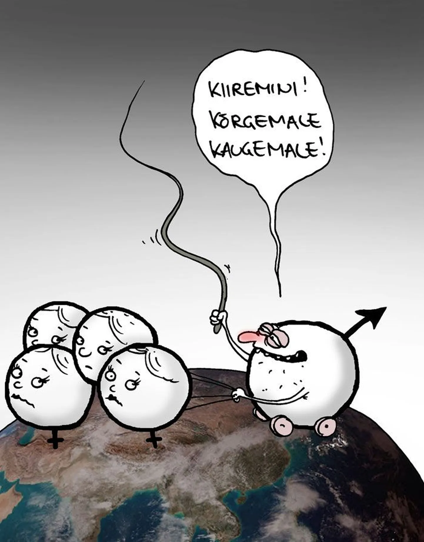 Artikli foto