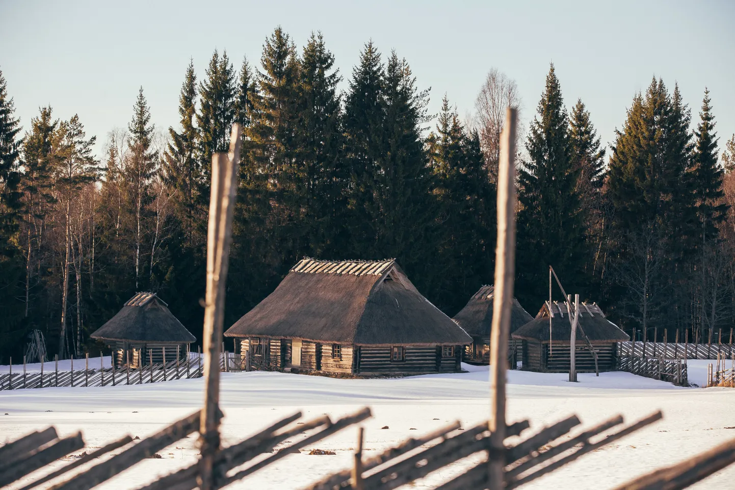 Vargamäe.