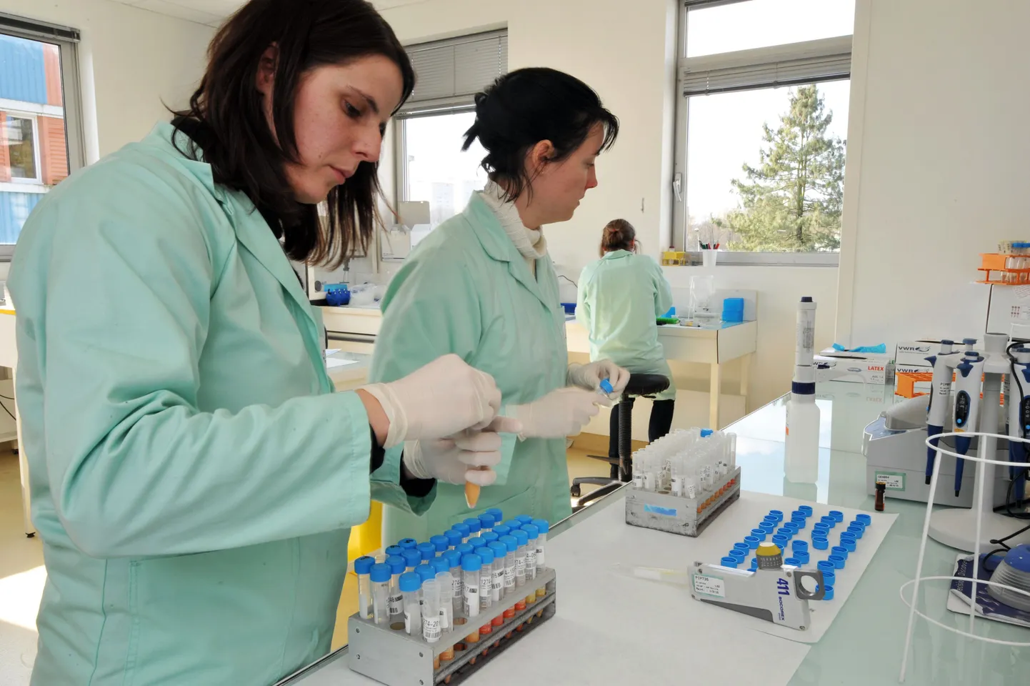 DNA-test näitas, et Iirimaa mustlastelt võetud laps on nende tütar