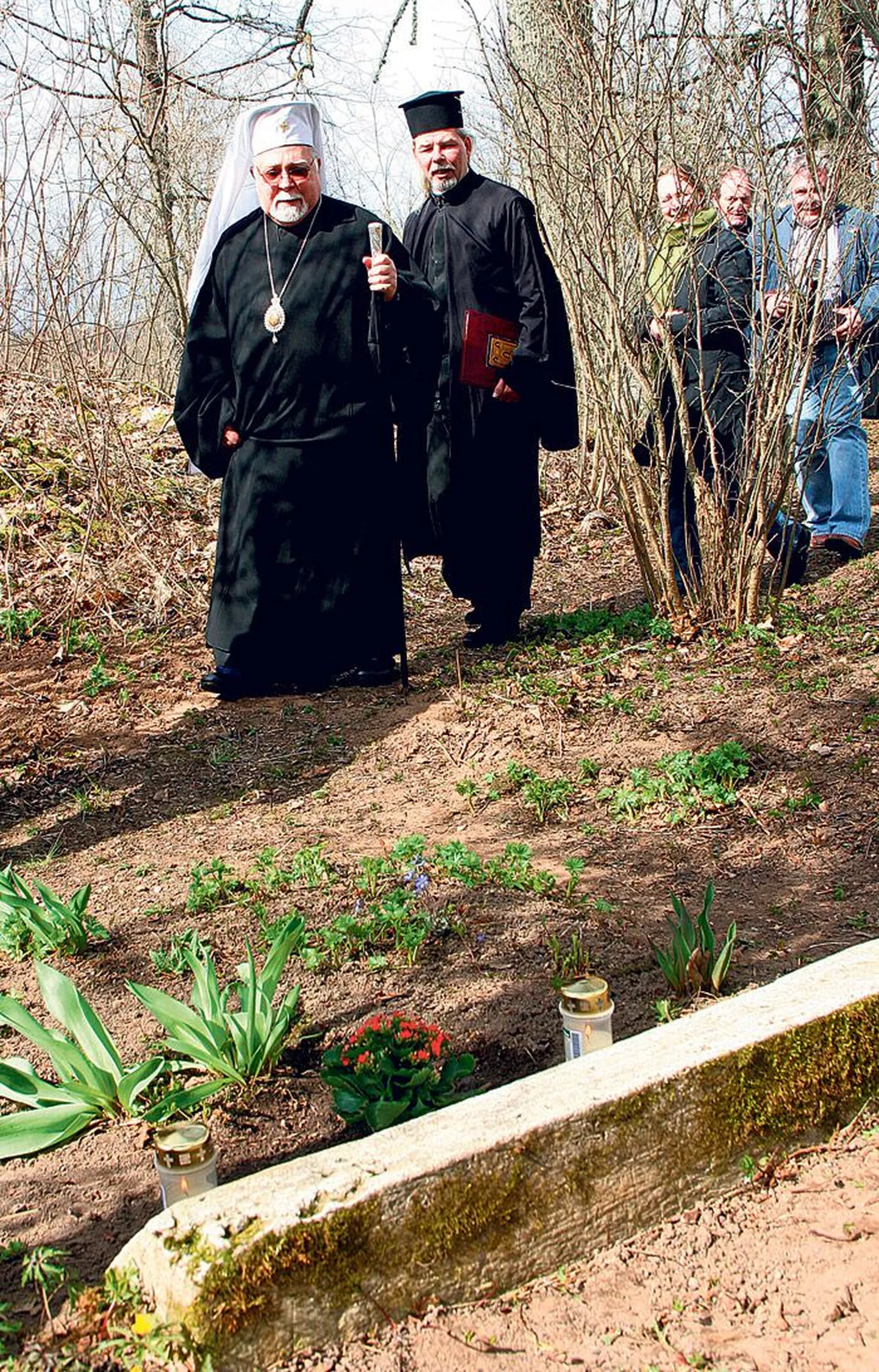 Artikli foto