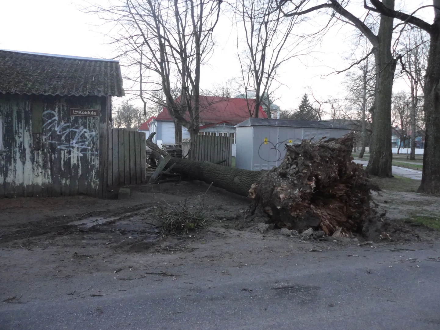 Lugeja jäädvustas tormikahjud hommikuses Kadriorus.