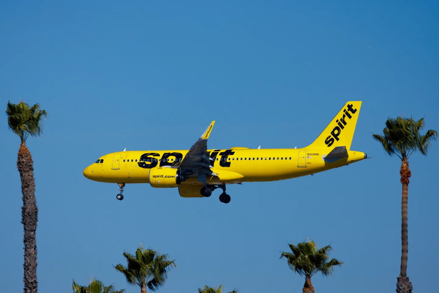 Spirit Airlinesi lennuk. Pilt on illustratiivne.