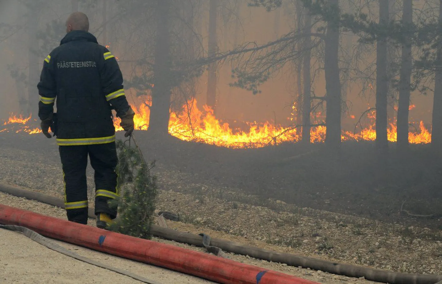 Metsatulekahju Vihterpalus.Foto on illustratiivne.