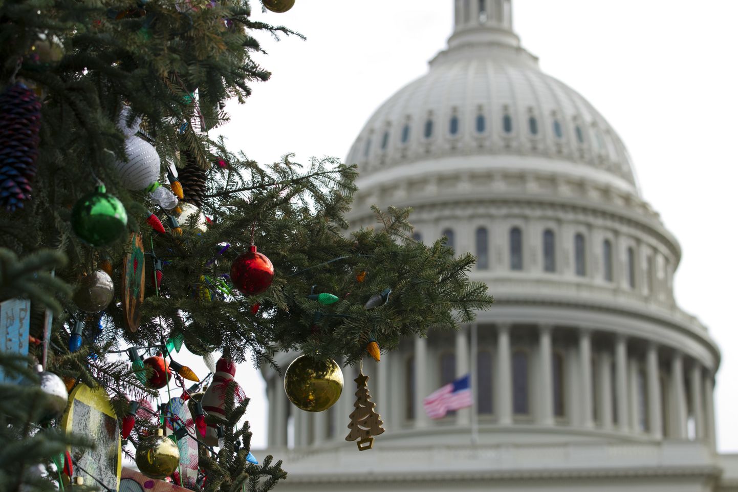 Рождественская елка в Вашингтоне. Иллюстративное фото