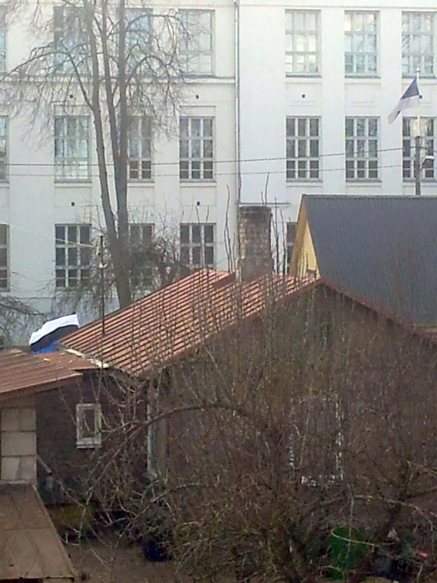 Artikli foto