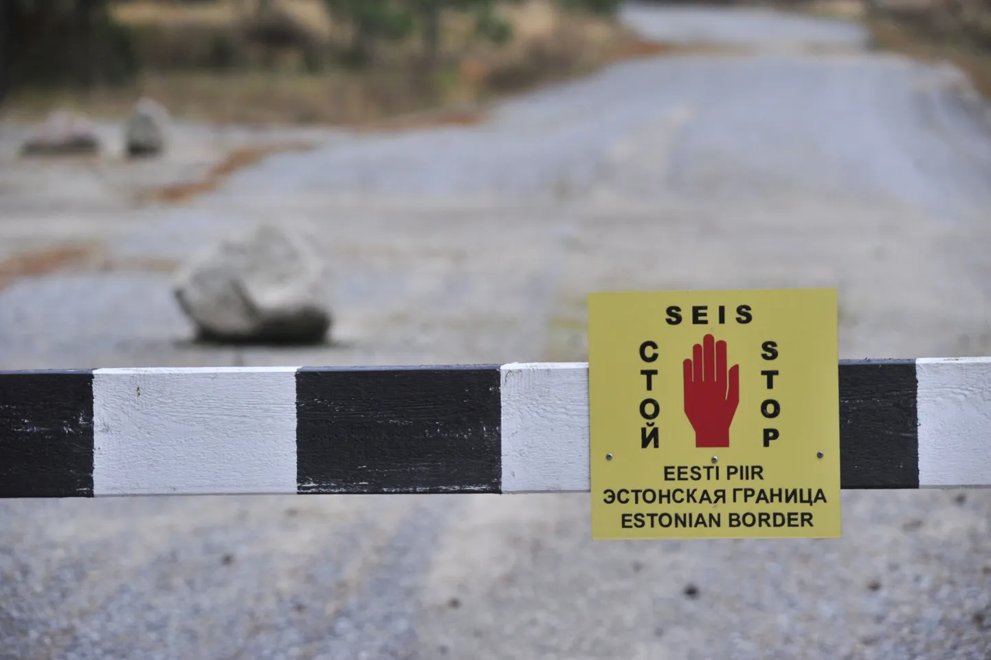 Artikli foto