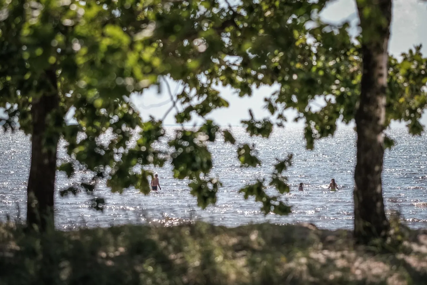 Valgeranna plaaž.