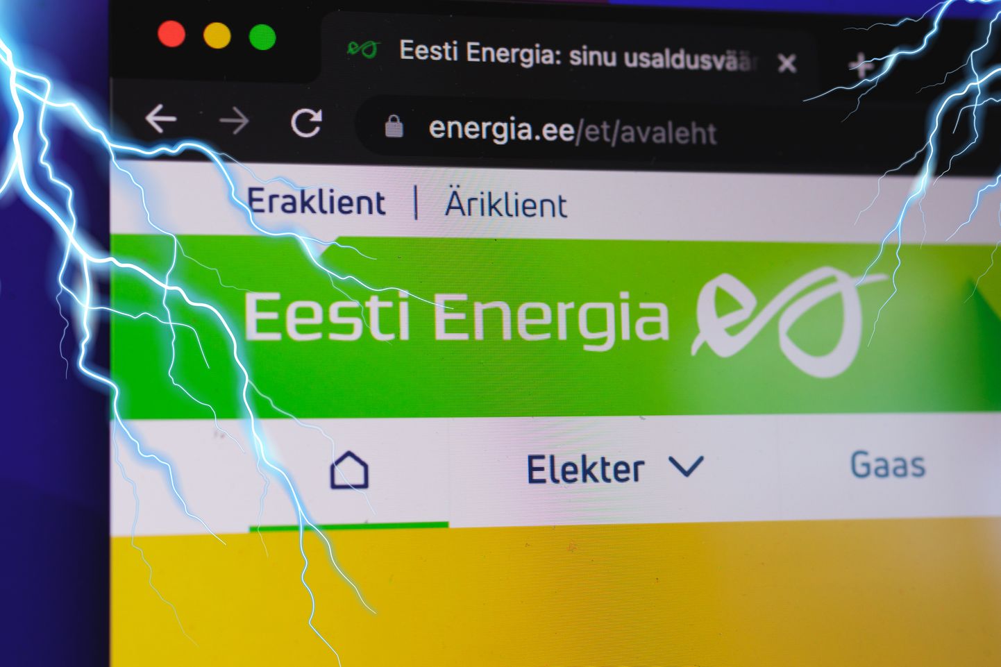 Eesti Energia lähtub oma tegevuses pigem börsiettevõtte loogikast, kui mõistmisest, et ollakse elutähtsa teenuse osutaja.
