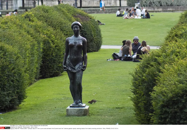 Pikinikupidajad ja rott Pariisi Tuileries aias