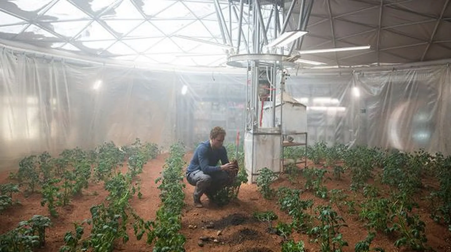 Astronaut Mark Watney kasvatab Marsil kartuleid