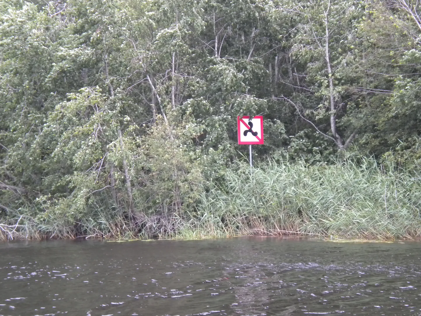 Alam-Pedja looduskaitseala kaitse-eeskirja järgi ei ole lubatud Emajõe vanajõel mootorpaadiga sõita.