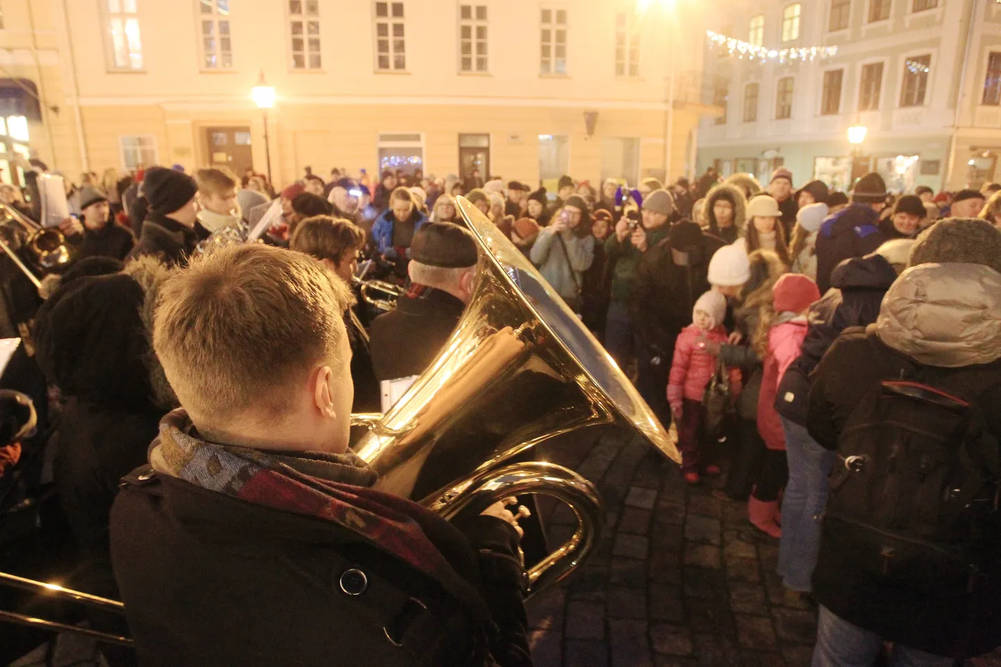 Puhkpillimuusuka. Illustreeriv foto.