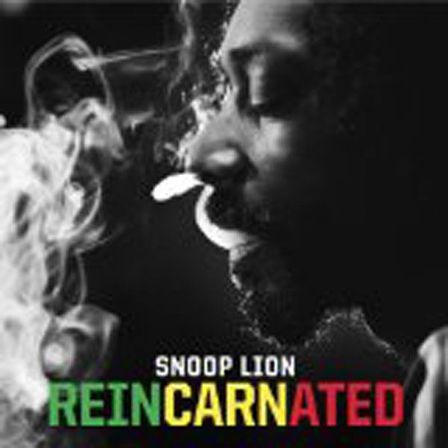 Snoop Lion

Reincarnated (Mad Decent)