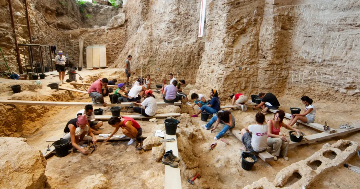 Spain: Researchers discover ancient Neanderthal wooden tools