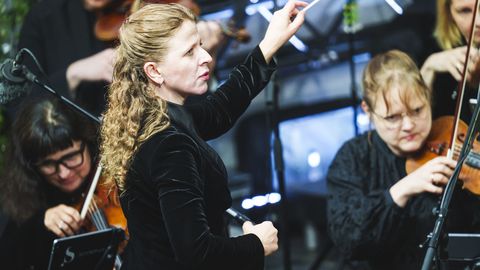 Downpour Halts Performance of Beethoven's Famous Symphony in Estonia