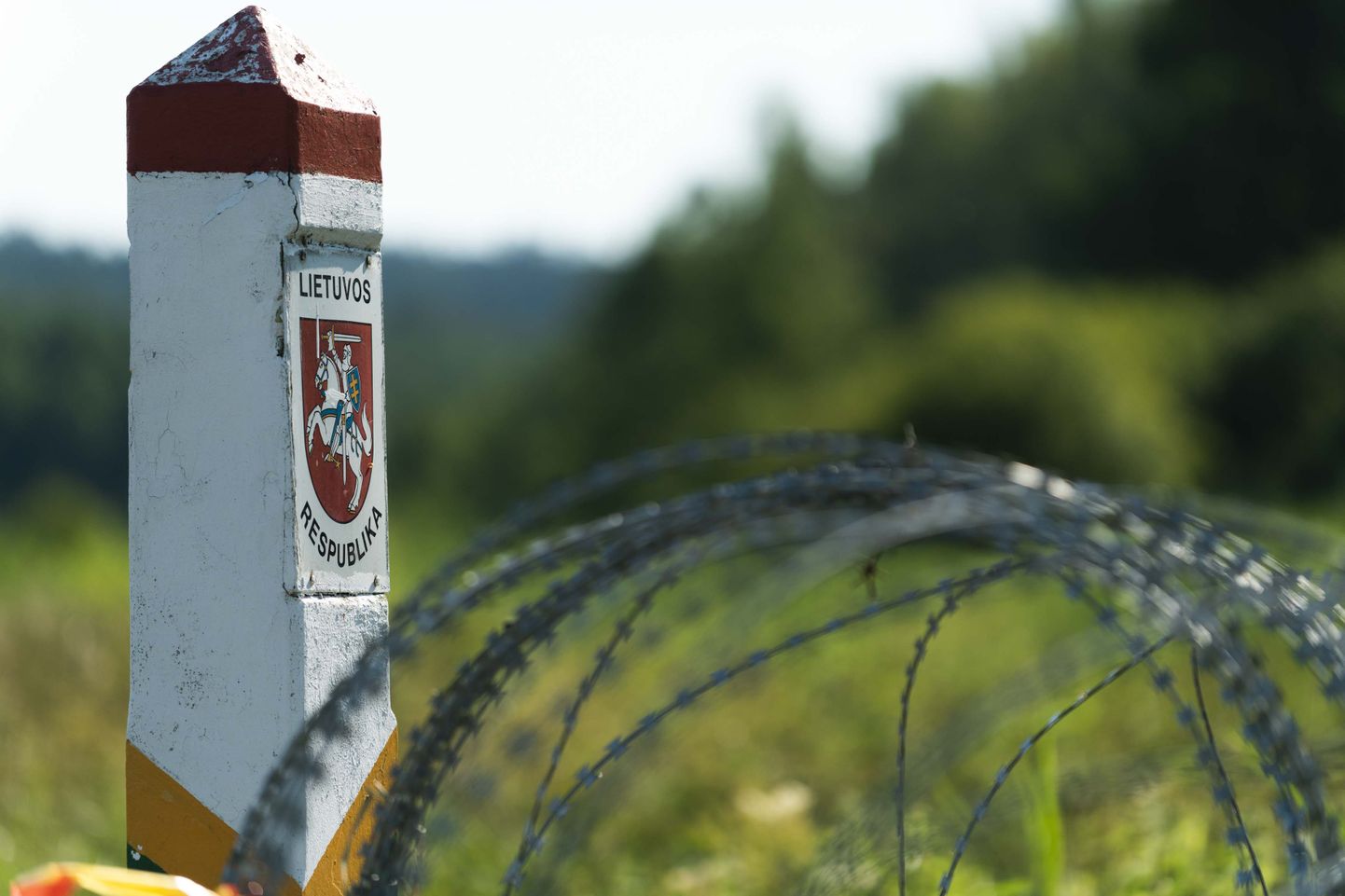 Lithuanian media and opposition accuse the government of buying "golden" barbed wire from Estonia.