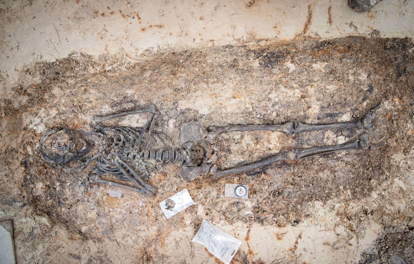 При раскопках нашли останки восьми человек, они были очень аккуратно похоронены, что указывает на церковное кладбище.