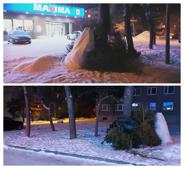 Свалка ёлок около магазина на улице Юхана Сютисте, Таллинн, 7 января 2024 года.