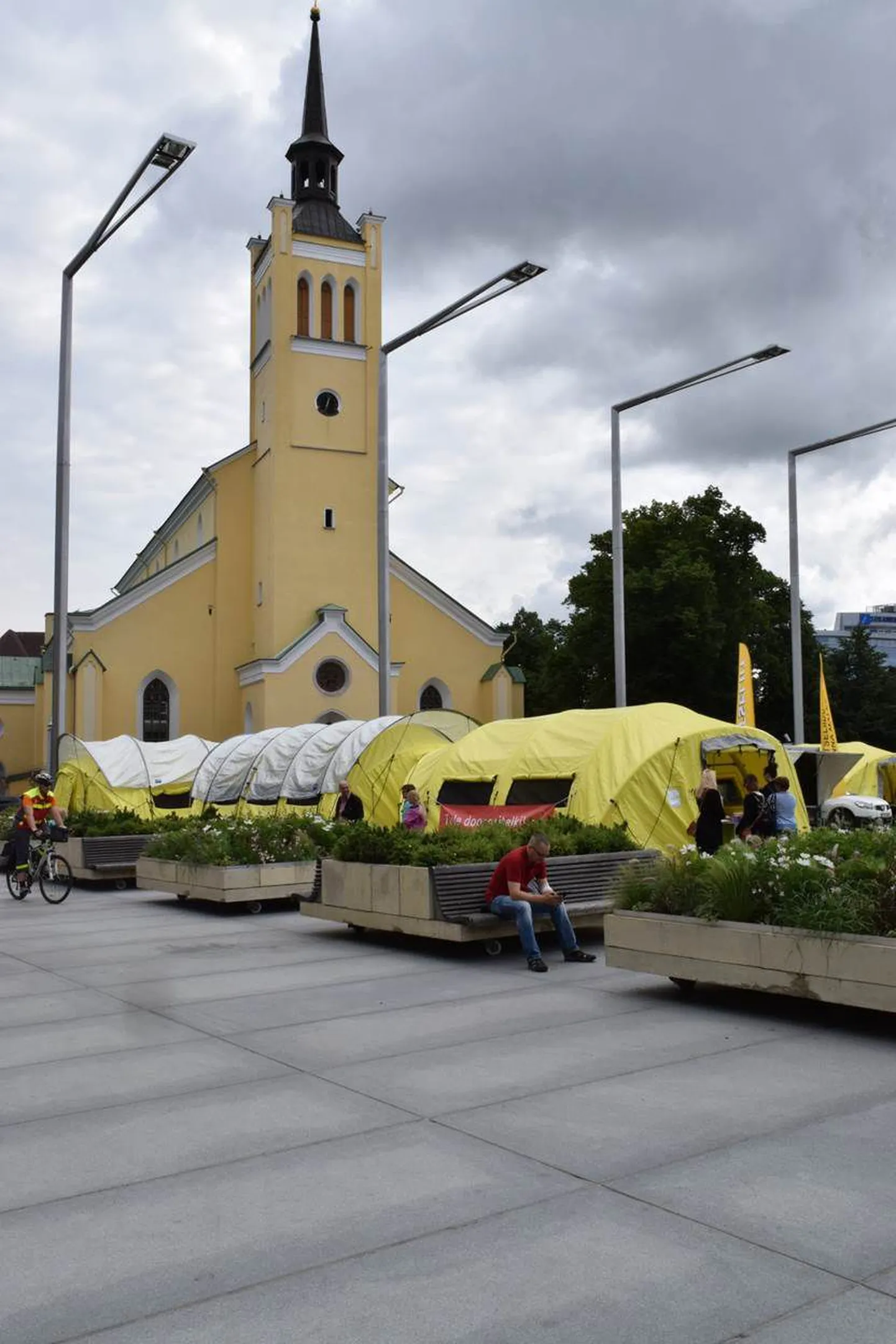 Doonoritelgid Tallinnas Vabaduse väljakul.