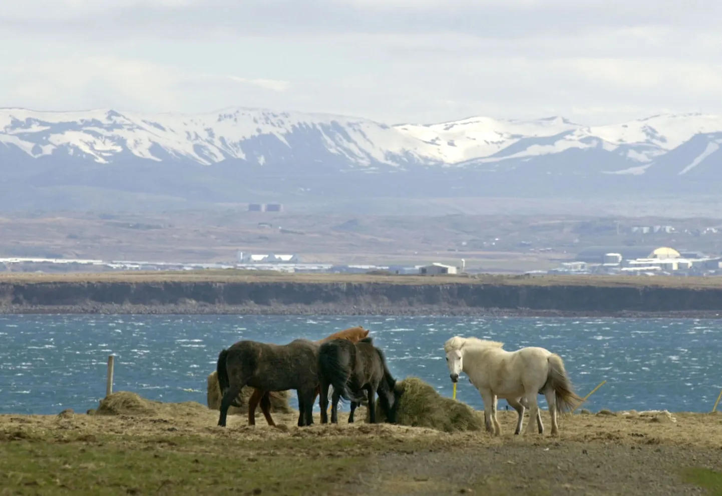 Islandi maastik