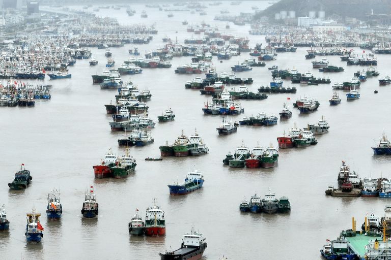 Tormi Muifa eest sadamasse varjunud laevad Zhoushani piirkonnas Zhejiangis. TPX IMAGES OF THE DAY
