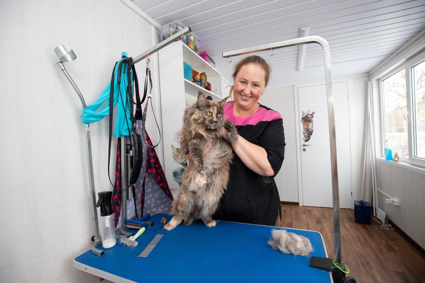 Marina Lozovski on pikalt töötanud meditsiiniõena. Mõned aastad tagasi õppis ta lemmikloomamassööriks ja groomer’iks ning avas enda lemmikloomasalongi.