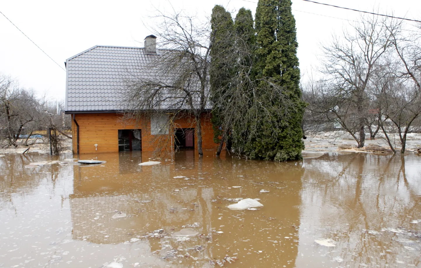 Raksta foto