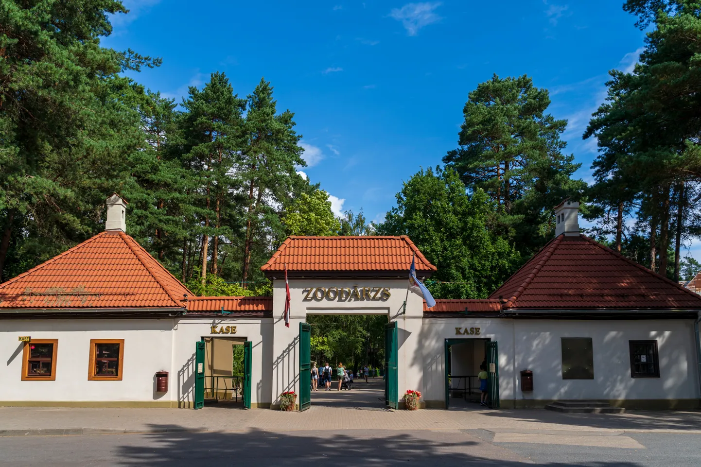 Raksta foto