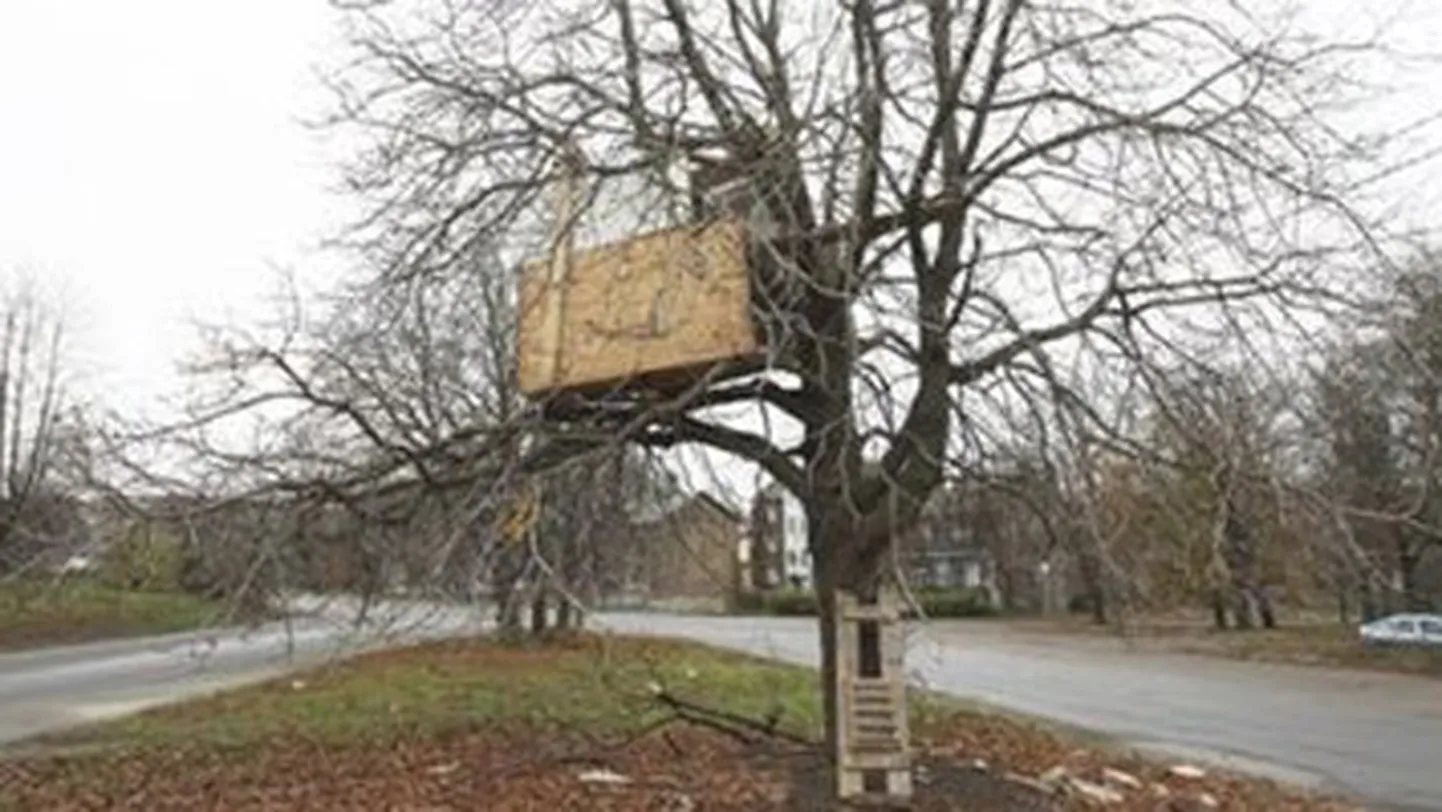 Фото статьи