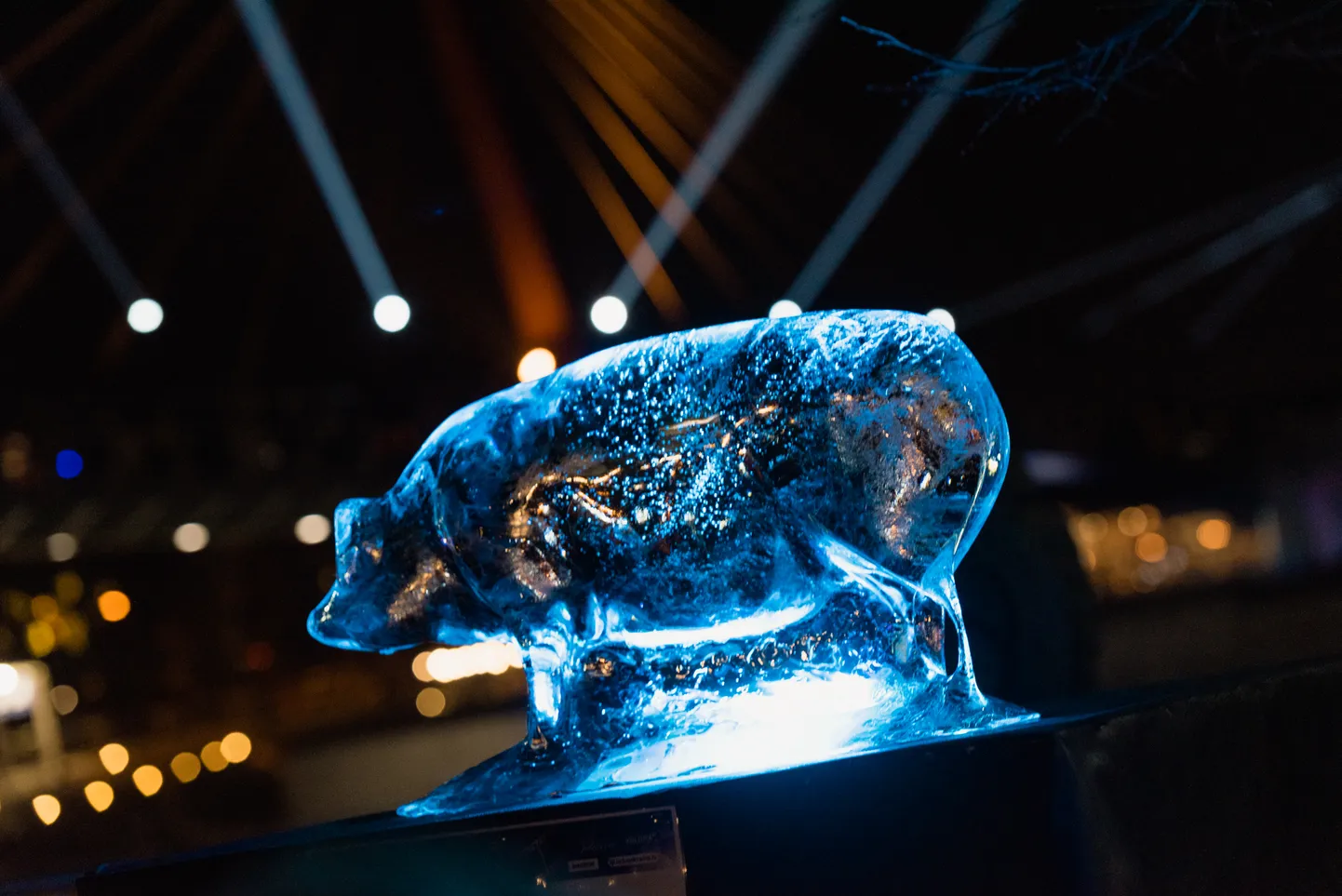 Ledus skulptūru festivāls Jelgavā