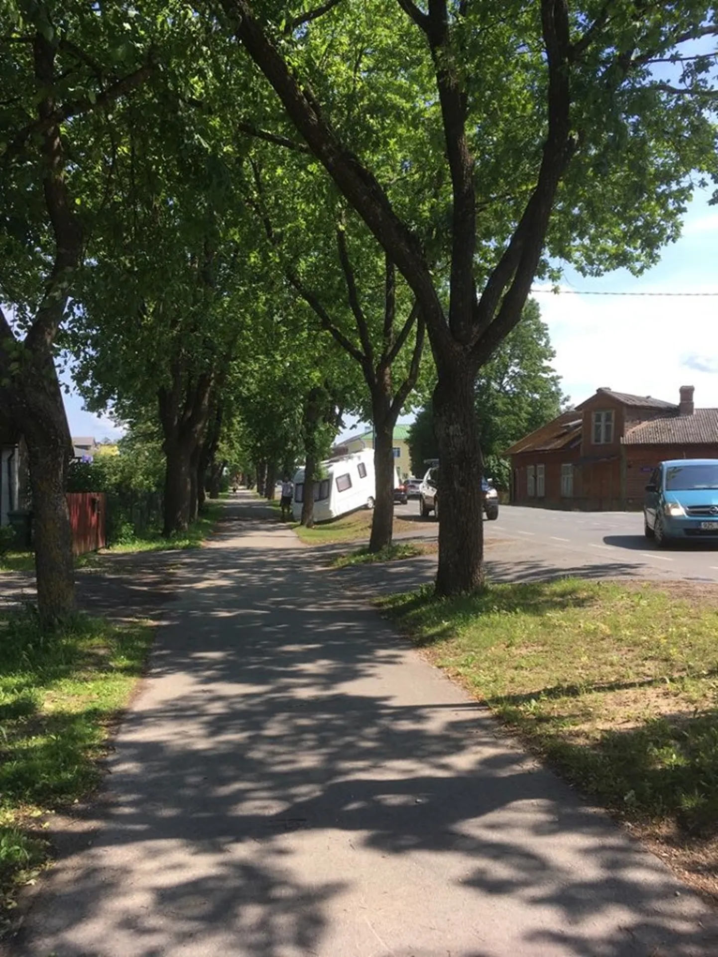 Haagissuvila sõitis vastu puud.