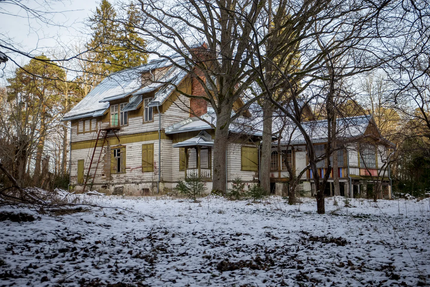 Liberty mõis 2017. aastal.
