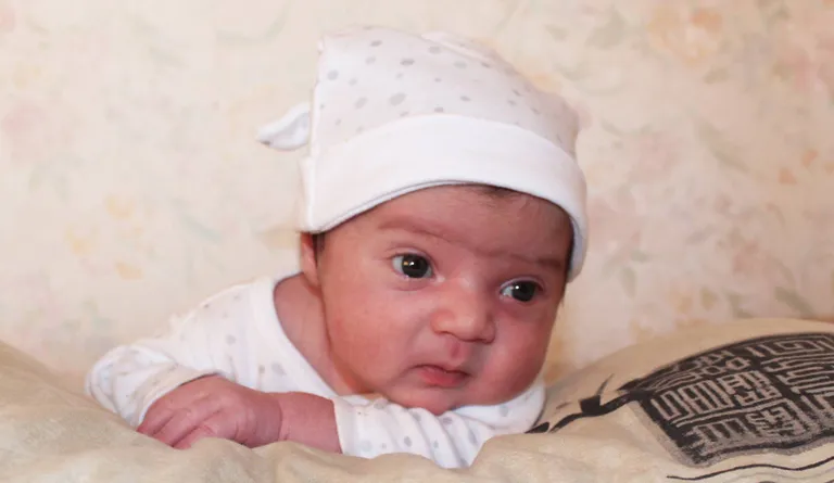 Artikli foto