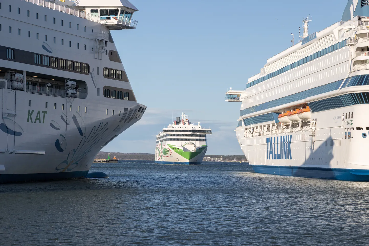 Паромы Tallink в Таллиннском порту. Иллюстративное фото.