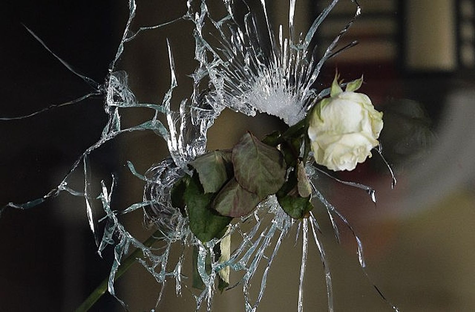 След от пули в парижском ресторане после трагедии 13 ноября