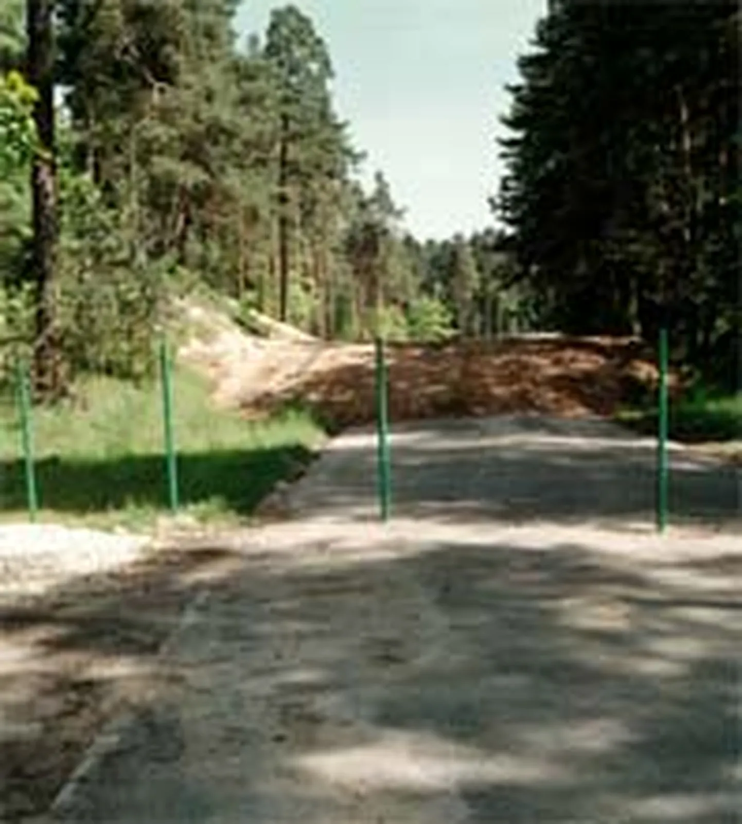 Raksta foto