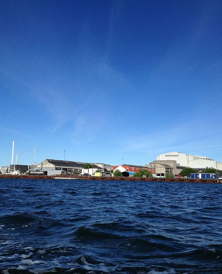 Refshaleøeni saar