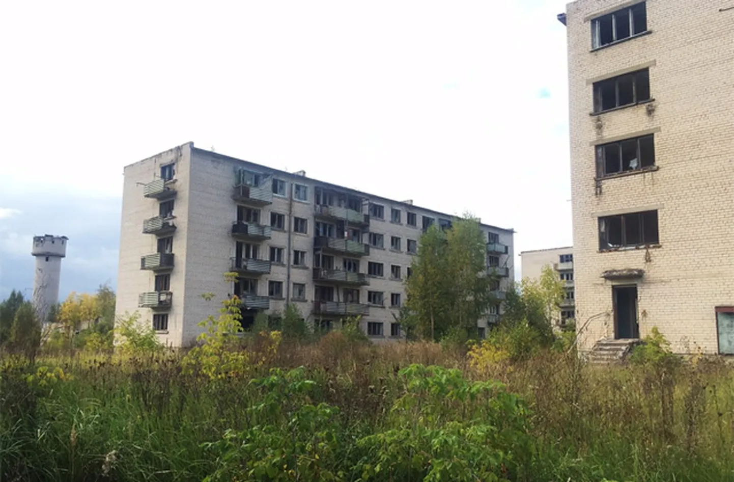 Raksta foto
