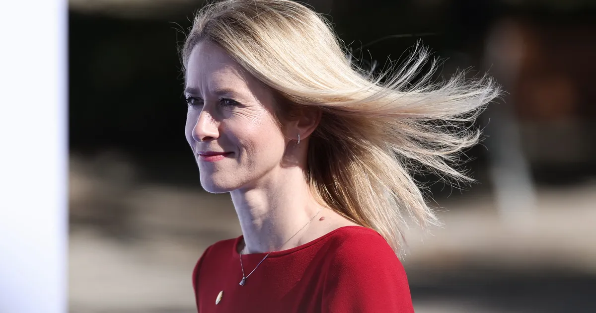 WSJ: Eesti õppetunnid Ukrainale