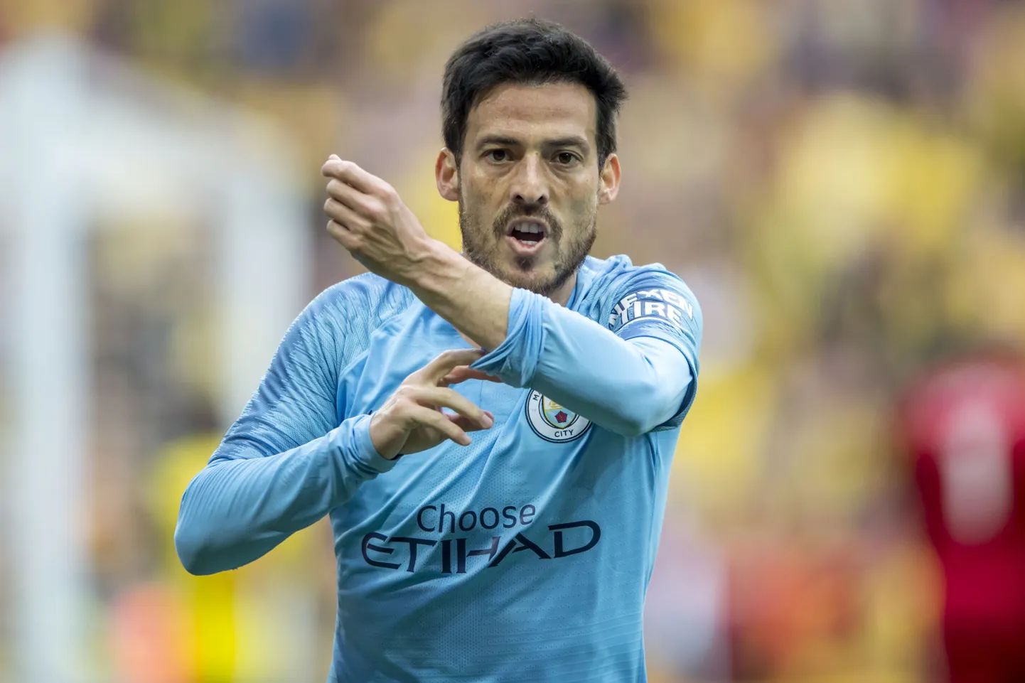 David Silva