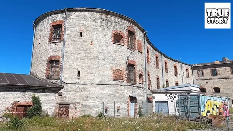 Фото статьи