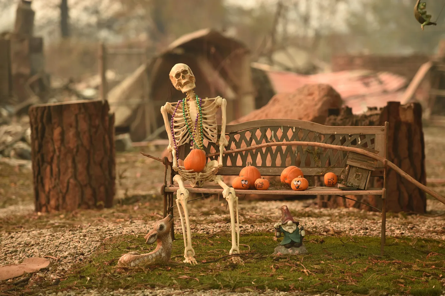 Halloween'i dekoratsioonid Põhja-Californias Paradise'is, mis jäid tulest puutumata