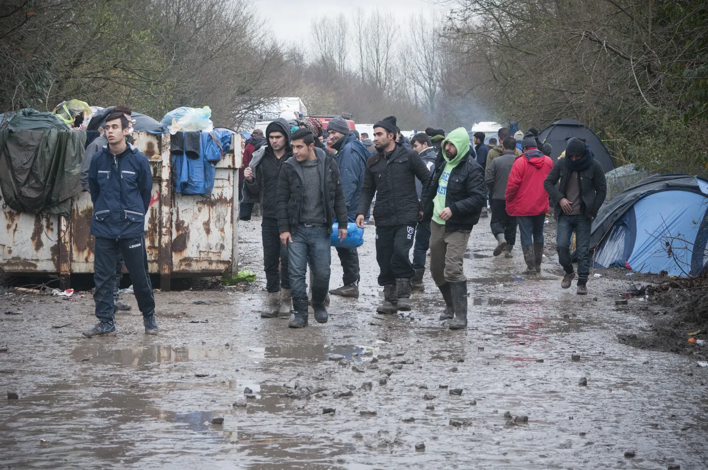 Migrandid.