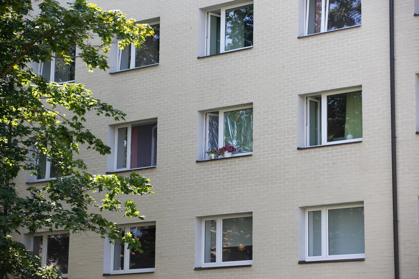 Kuidas võidelda palavusega?