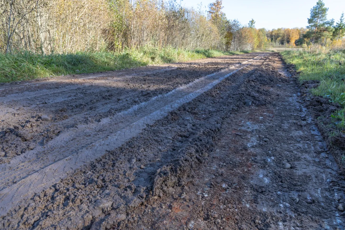 Päev pärast hööveldamist oli tee mudane ning sõiduautoga oli seda keeruline läbida.