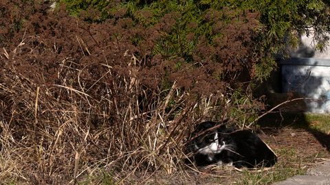 Pirmdien nav gaidāmi būtiski nokrišņi