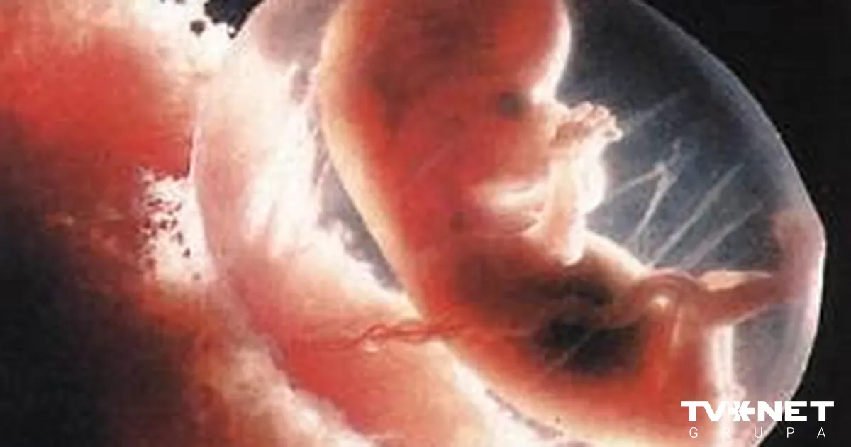 Эротика және секс туралы итальяндық фильмдер