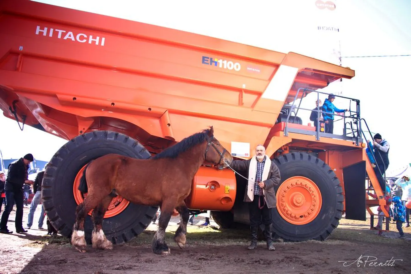"Boris Razumov eesti raskeveo tõugu täku Nevrikuga võrdlemas "hobujõudusi"  suure Hitachi veoautoga" (2015)