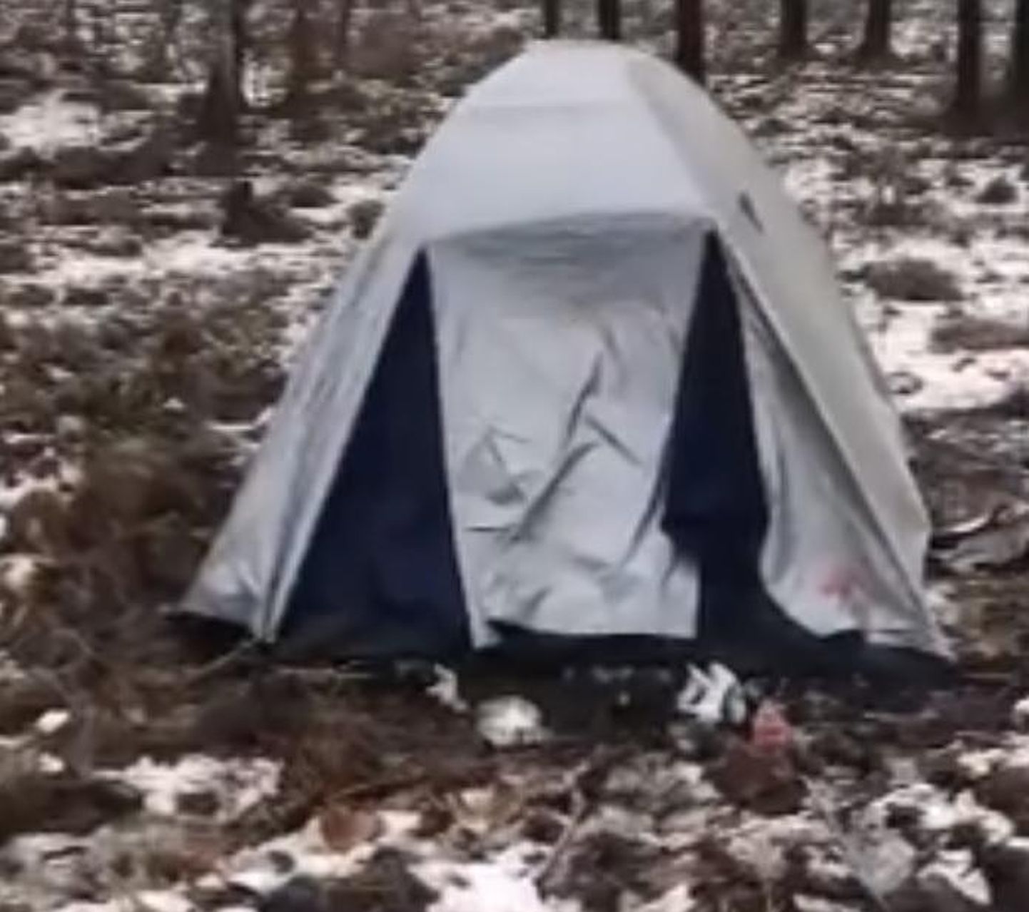 Девочек нашли в палатке.